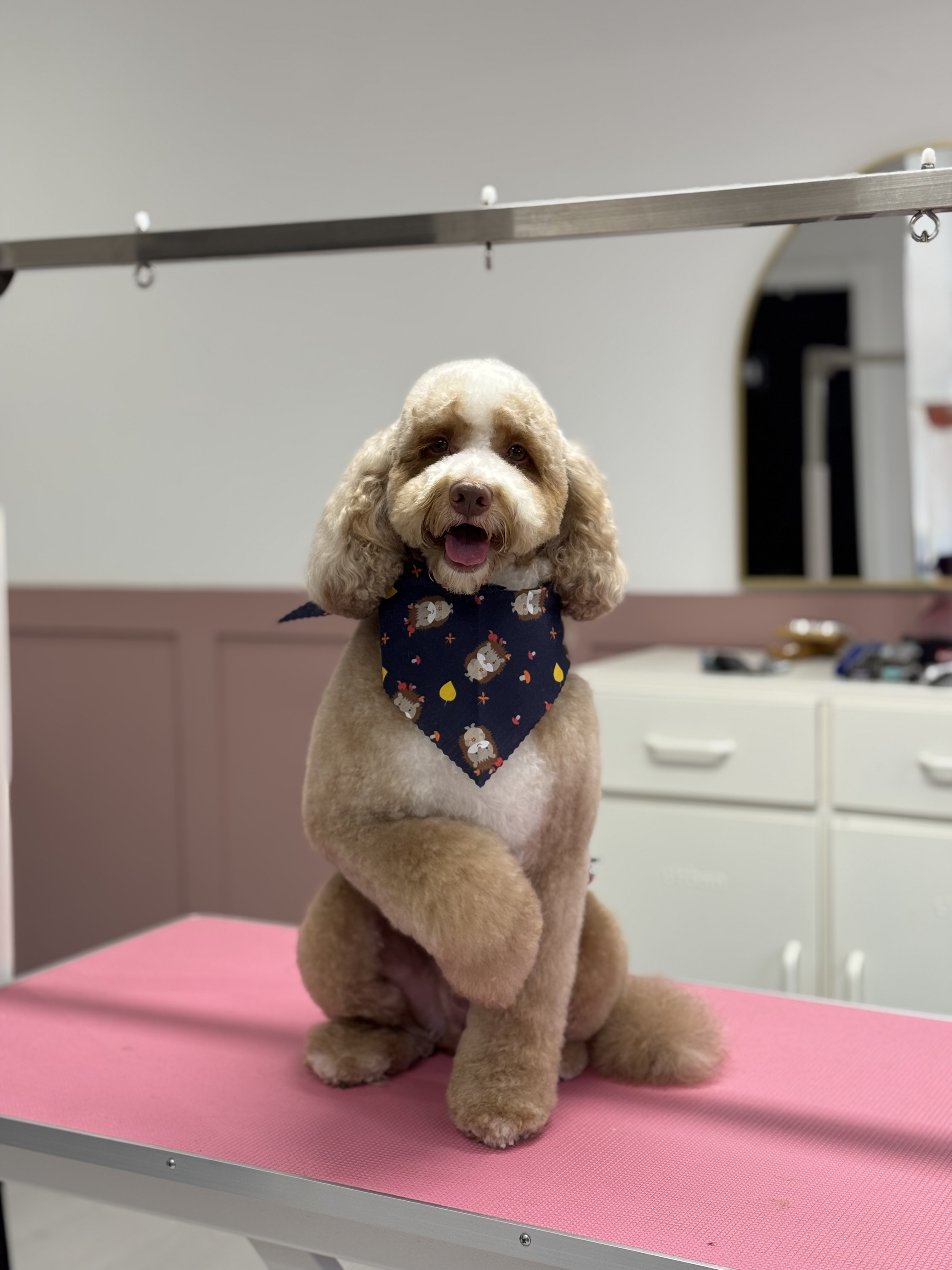 Grooms & Doodles