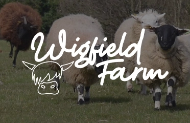 Wigfield Farm